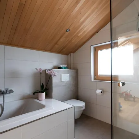 Bergblick Bregenzerwald * Bregenz