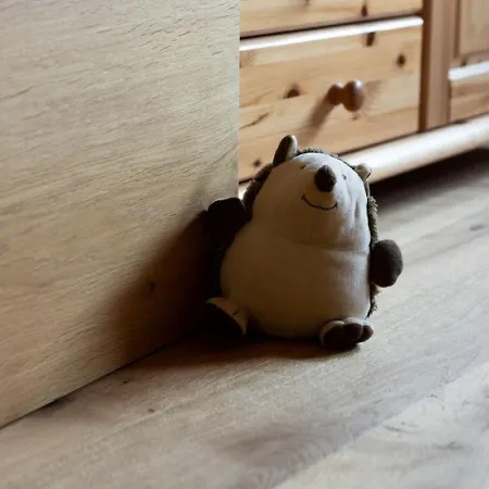 Bergblick Bregenzerwald Ferienhaus Bregenz